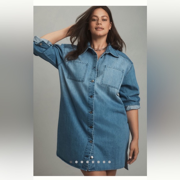NWT Anthropologie Porridge Long Sleeve Collared Denim Mini Shirt Dress - Picture 4 of 13